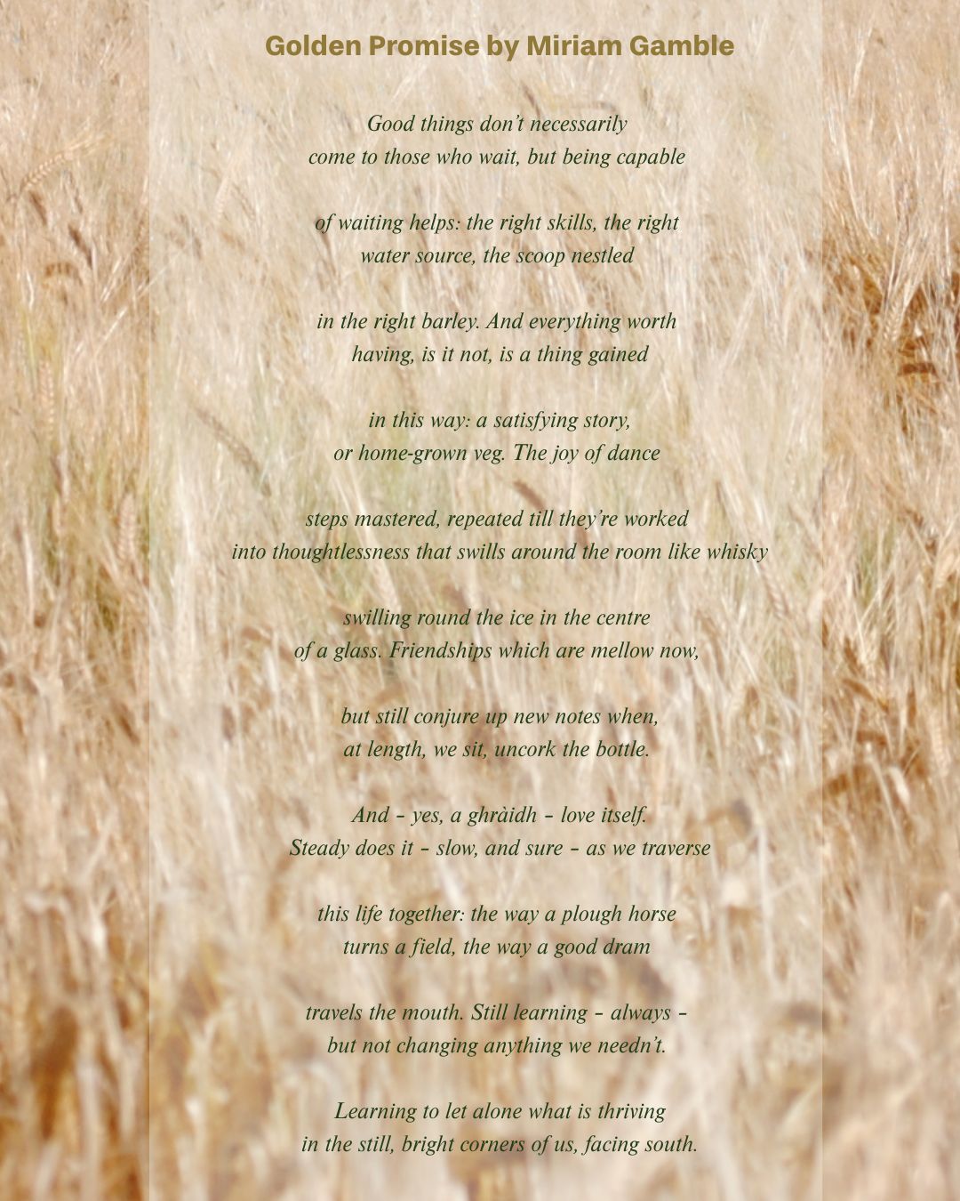 Aberargie whisky barrels